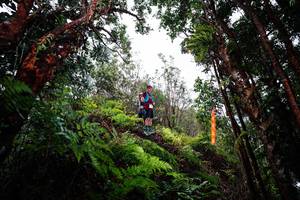 BIB: 
                            <button type="button" onclick="openModal(26204748)" class="btn btn-primary btn-sm float-right btn-popup" data-toggle="modal" data-target=".modal-high-quality">
                        <i class="fas fa-shopping-cart"></i> Add to Cart
                    </button>
                                            <button type="button" onclick="isThisMe(26204748, true)" class="btn btn-success btn-sm float-right btn-popup btn-isme hidden" data-toggle="tooltip" data-placement="bottom" title="นี่คือรูปของคุณใช่ไหม คลิกที่นี่เพื่อเอาเข้าอัลบั้ม">
                        <i class="fas fa-plus"></i> Add to album
                    </button>
                    <button type="button" onclick="isThisMe(26204748, false)" class="btn btn-warning btn-sm float-right btn-popup btn-isnotme hidden">
                        <i class="fas fa-ban"></i> Remove from album
                    </button>